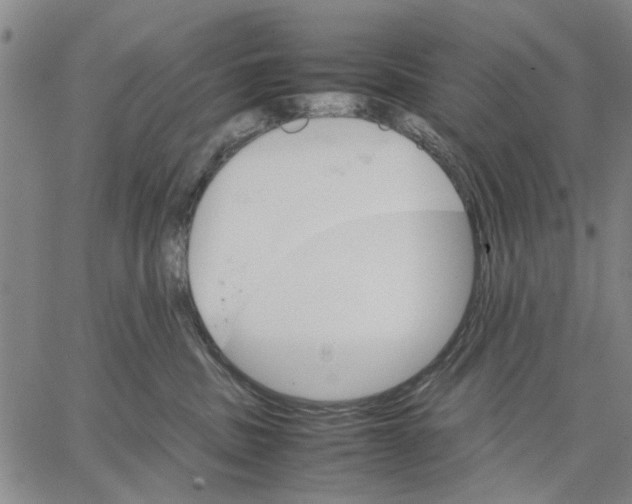 X0000066080379200604071738