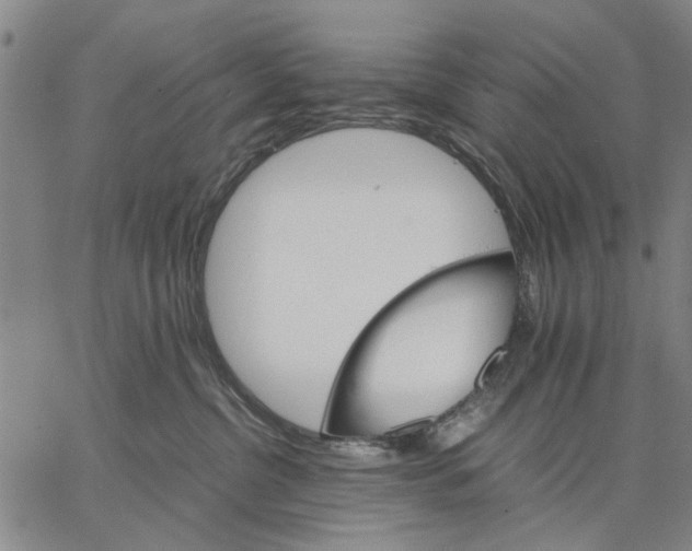 X0000066080380200604071738