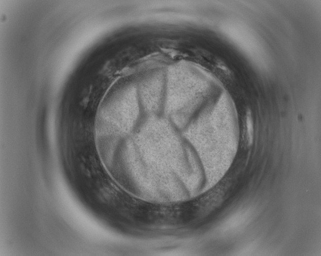 X0000066080383200604071738