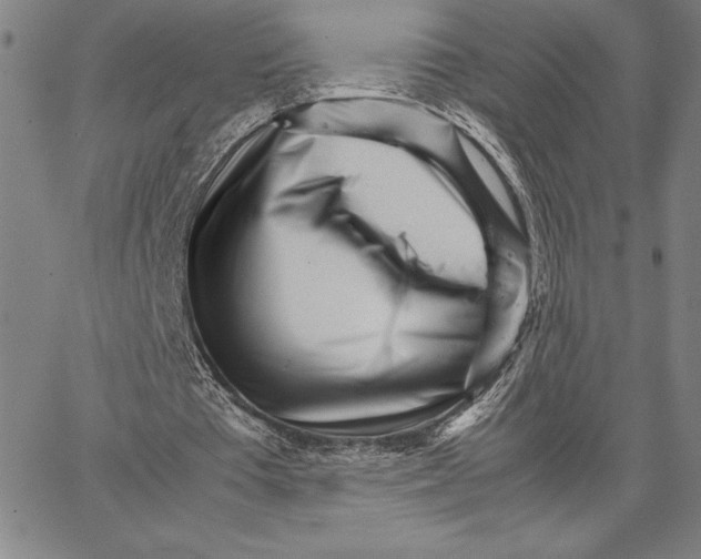 X0000066080385200604071737