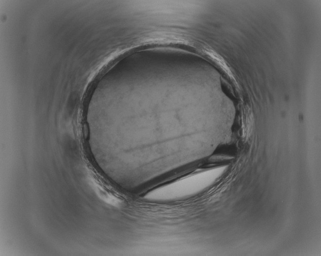 X0000066080387200604071737