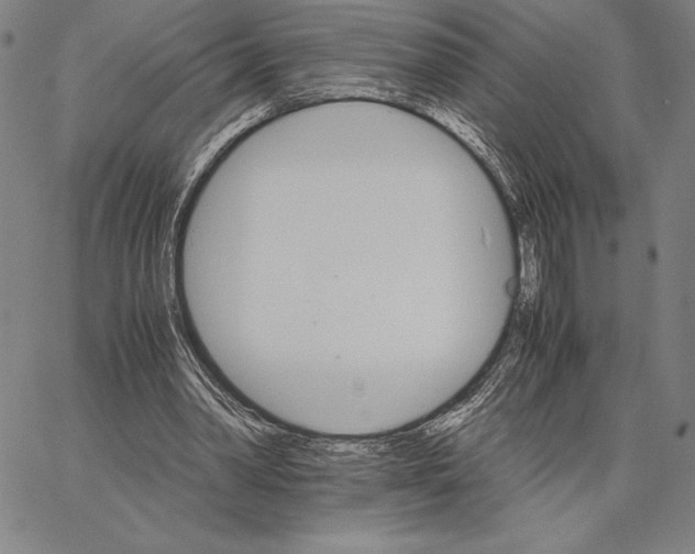 X0000066080390200604071737