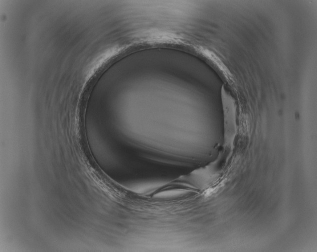 X0000066080391200604071737