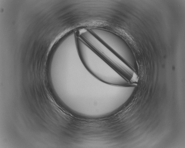 X0000066080392200604071737