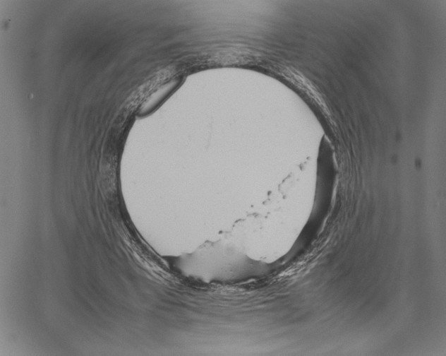 X0000066080393200604071737