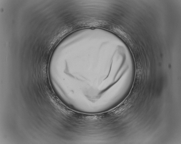 X0000066080394200604071737