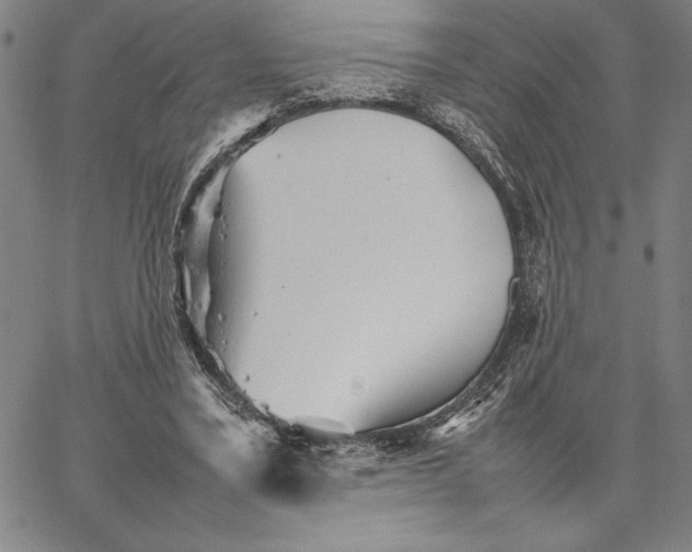 X0000066080395200604071737