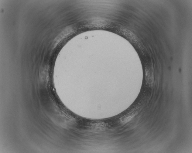 X0000066080396200604071737