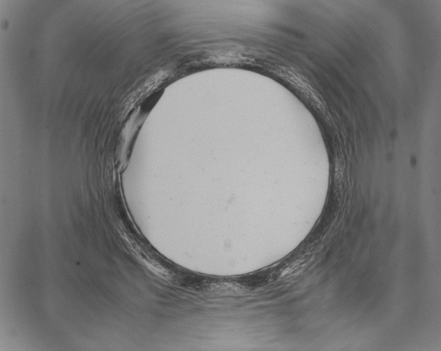 X0000066080397200604071737