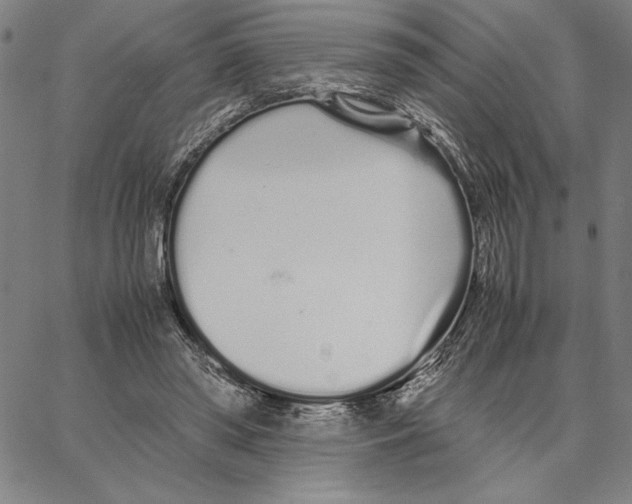 X0000066080398200604071737