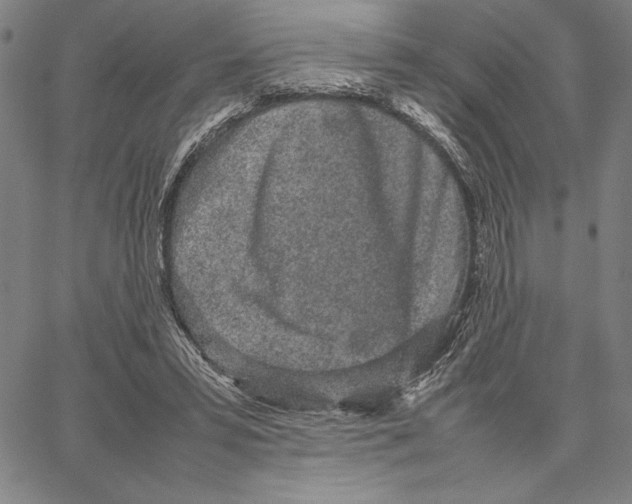 X0000066080399200604071737