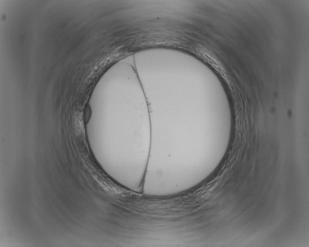 X0000066080401200604071737