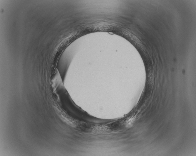 X0000066080403200604071737