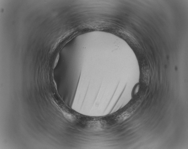 X0000066080404200604071737