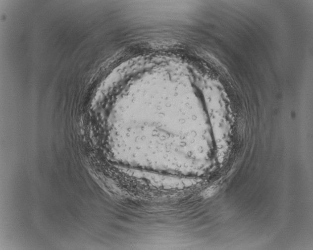 X0000066080405200604071737