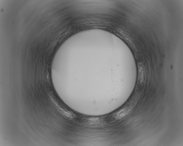 X0000066080406200604071737