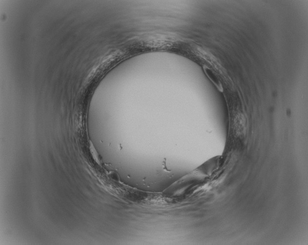 X0000066080407200604071737