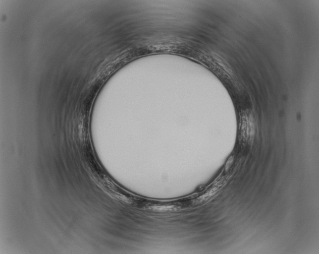 X0000066080408200604071737