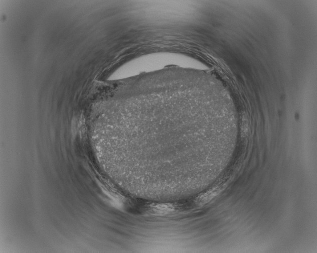 X0000066080409200604071737