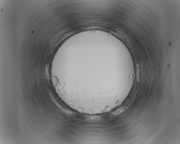 X0000066080410200604071737