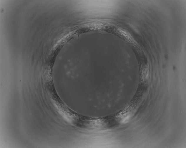 X0000066080411200604071737