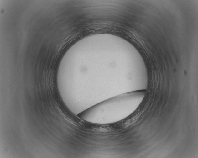 X0000066080412200604071737