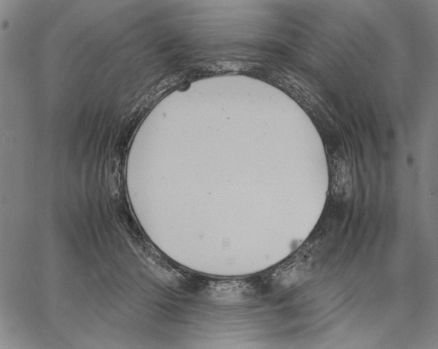 X0000066080414200604071737