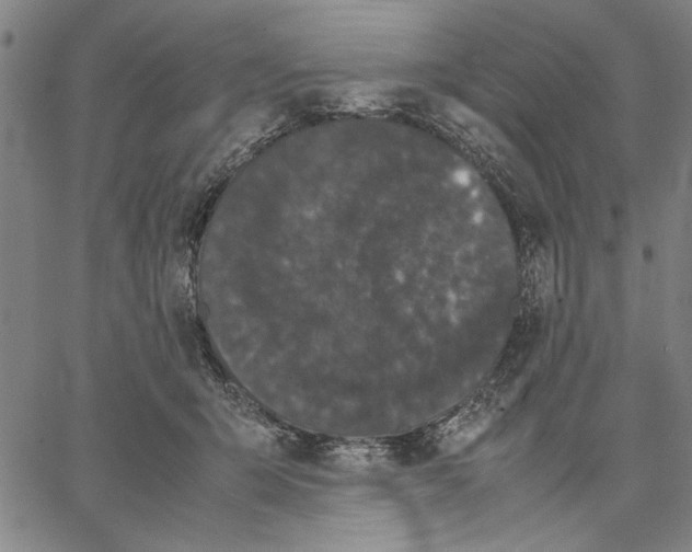 X0000066080415200604071737