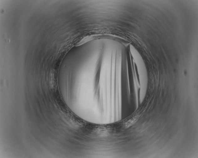 X0000066080416200604071737