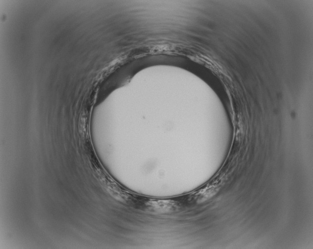 X0000066080417200604071737