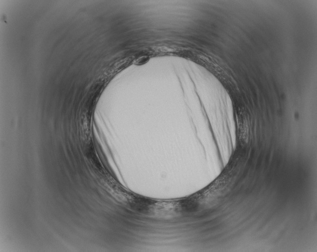 X0000066080418200604071737