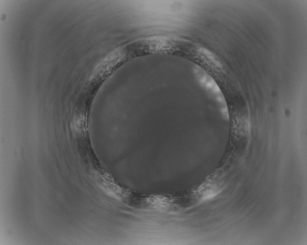 X0000066080419200604071736