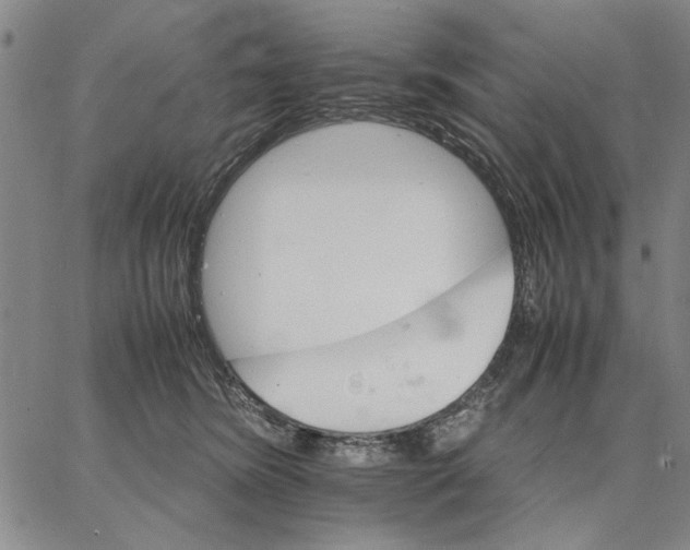 X0000066080420200604071736