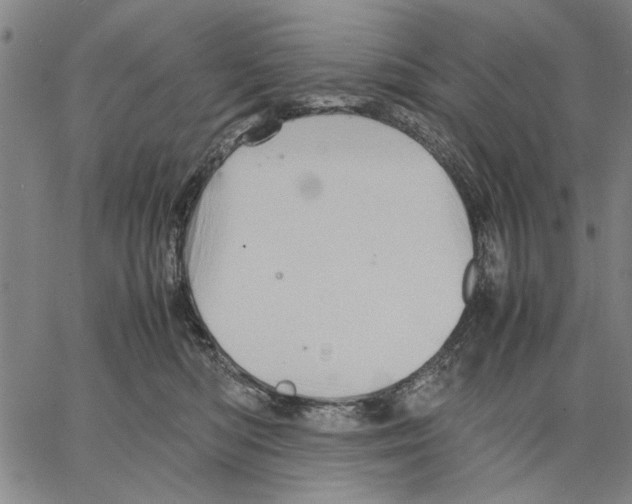 X0000066080422200604071736