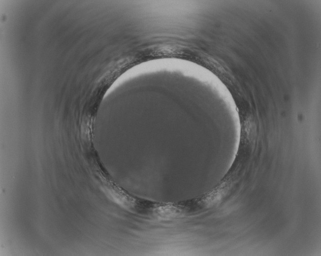 X0000066080423200604071736