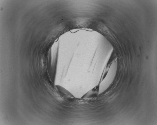 X0000066080424200604071736