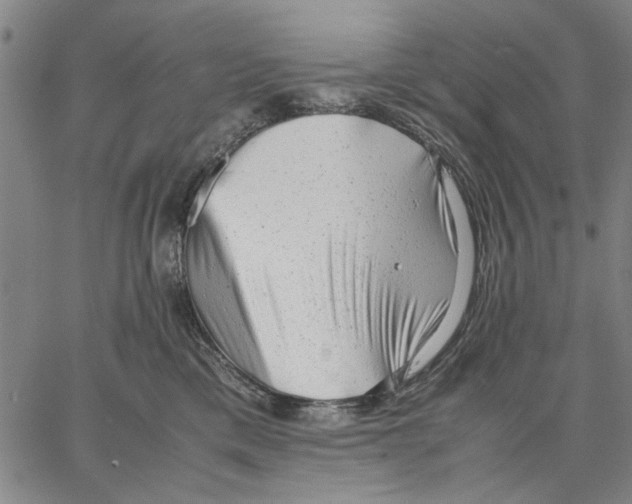 X0000066080425200604071736