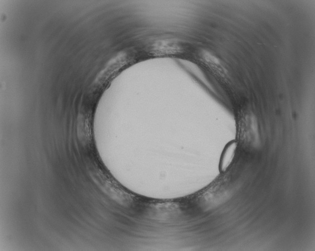 X0000066080426200604071736