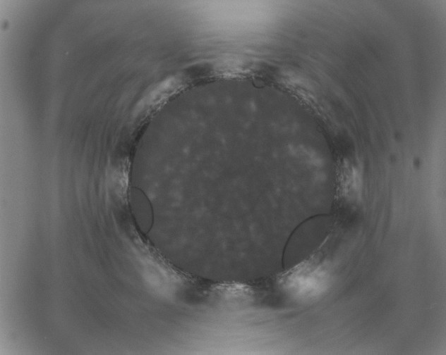 X0000066080427200604071736