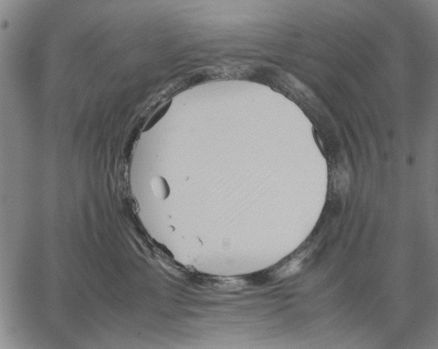 X0000066080429200604071736