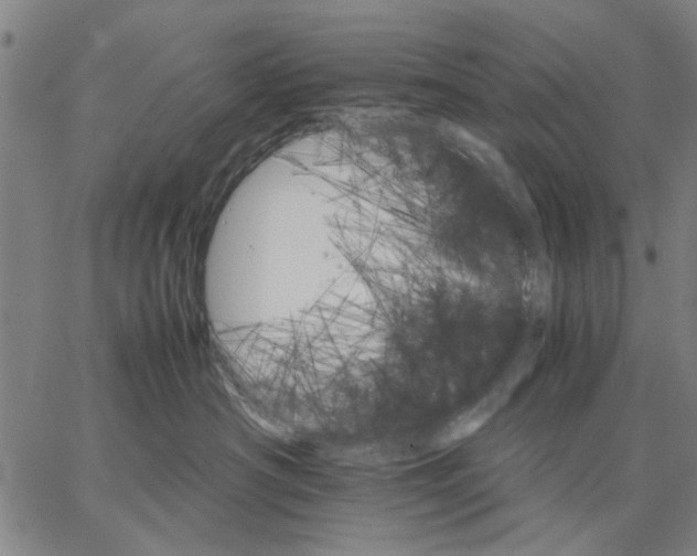 X0000066080430200604071736