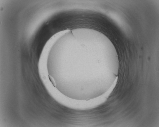 X0000066080431200604071736