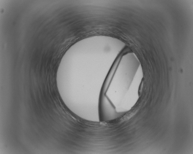 X0000066080432200604071736