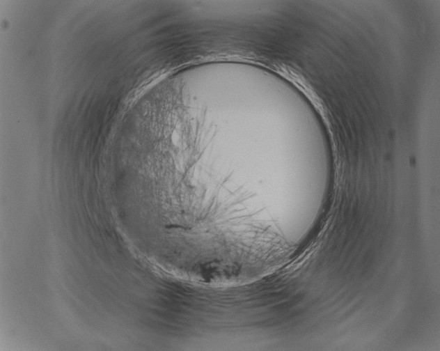 X0000066080433200604071736