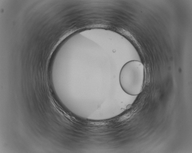 X0000066080435200604071736