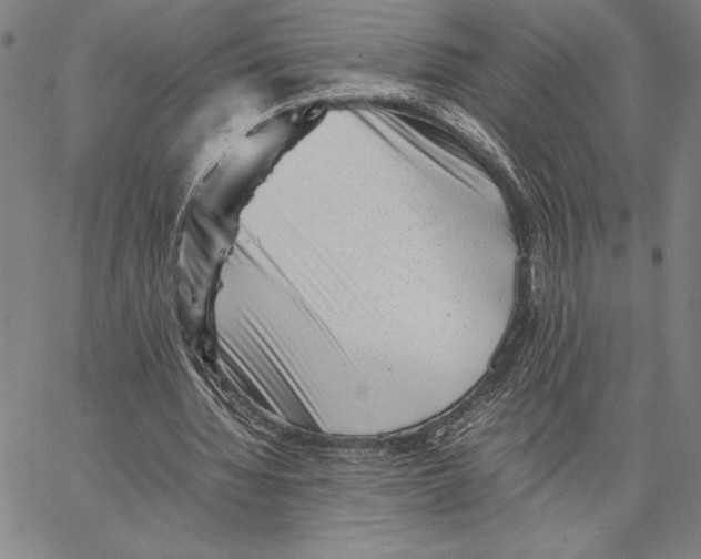 X0000066080436200604071736