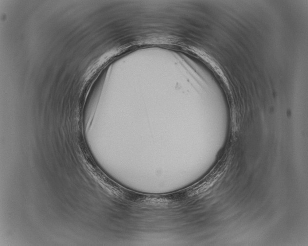 X0000066080437200604071736