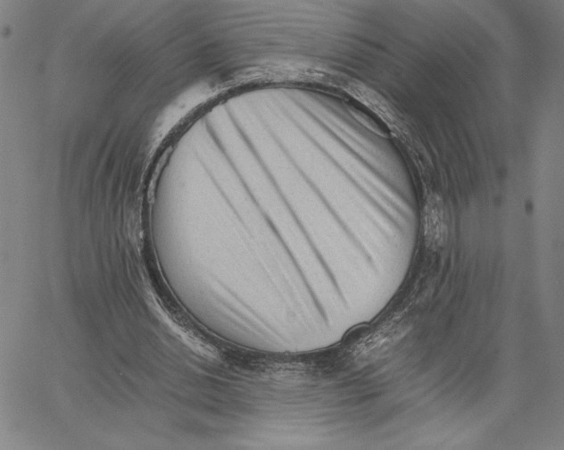 X0000066080438200604071736