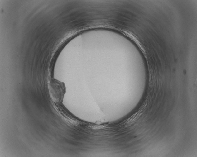 X0000066080439200604071736