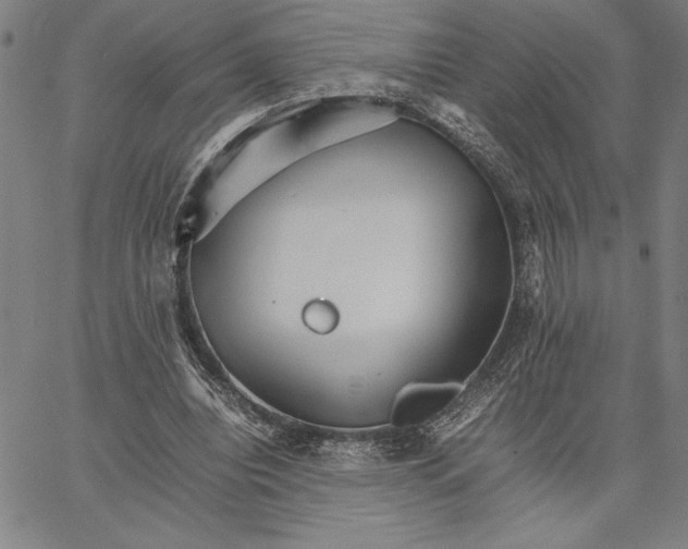 X0000066080440200604071736